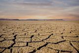 civil-servants-saved-city-cataclysmic-drought_asset_32686776783_4d05a4e2bf_z-1
