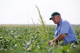 rural-areas-have-very-few-farmers-why-does-policy-focus-on-them_asset_13783111234_115a5d19e0_k-1