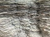 Huge stack of papers
