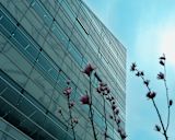 Business and nature - Banner Image