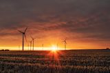 how-public-servants-can-others-to-deliver-climate-policies_asset_photo-1466611653911-95081537e5b7