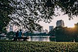 the-urban-forest-of-the-future-how-to-turn-our-cities-into-treetopias_asset_asia-2693042_1920