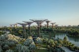 biophilic-cities-future_asset_supertrees-1