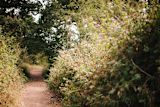child-health-learning-about-plants-could-make-kids-happier_asset_death_to_stock_cali_coast_6