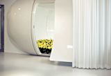 thomas-prehns-innovation-diary-innovation-is-not-a-room_asset_flower_icc