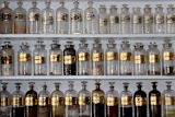 healthcare-access-why-the-who-is-recognising-traditional-medicine_asset_matt-briney-160808-unsplash-1