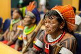 Povos indigenas Brasil