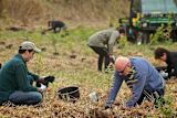 why-planting-trees-alone-wont-save-the-planet_asset_37589282342_368c033f04_b