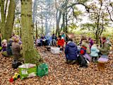 happens-put-toddlers-forest-climb-trees-use-knives_asset_flickrbobcox-wide