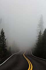 Road leading into fog