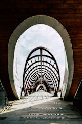 sam-moqadam-unsplash