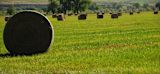 conservationists-ranchers-save-200-species-colorado_asset_4717230917_c8849fe703_b