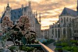 Leuven: Thomas Bormans