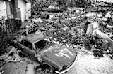 san-fran-sets-social-network-surviving-earthquake_asset_6293146289_db3fcda6ef_b