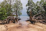 coronavirus-makes-investing-in-climate-adaptation-more-urgent-than-ever_asset_dan-maisey-hpmwsvqztaa-unsplash