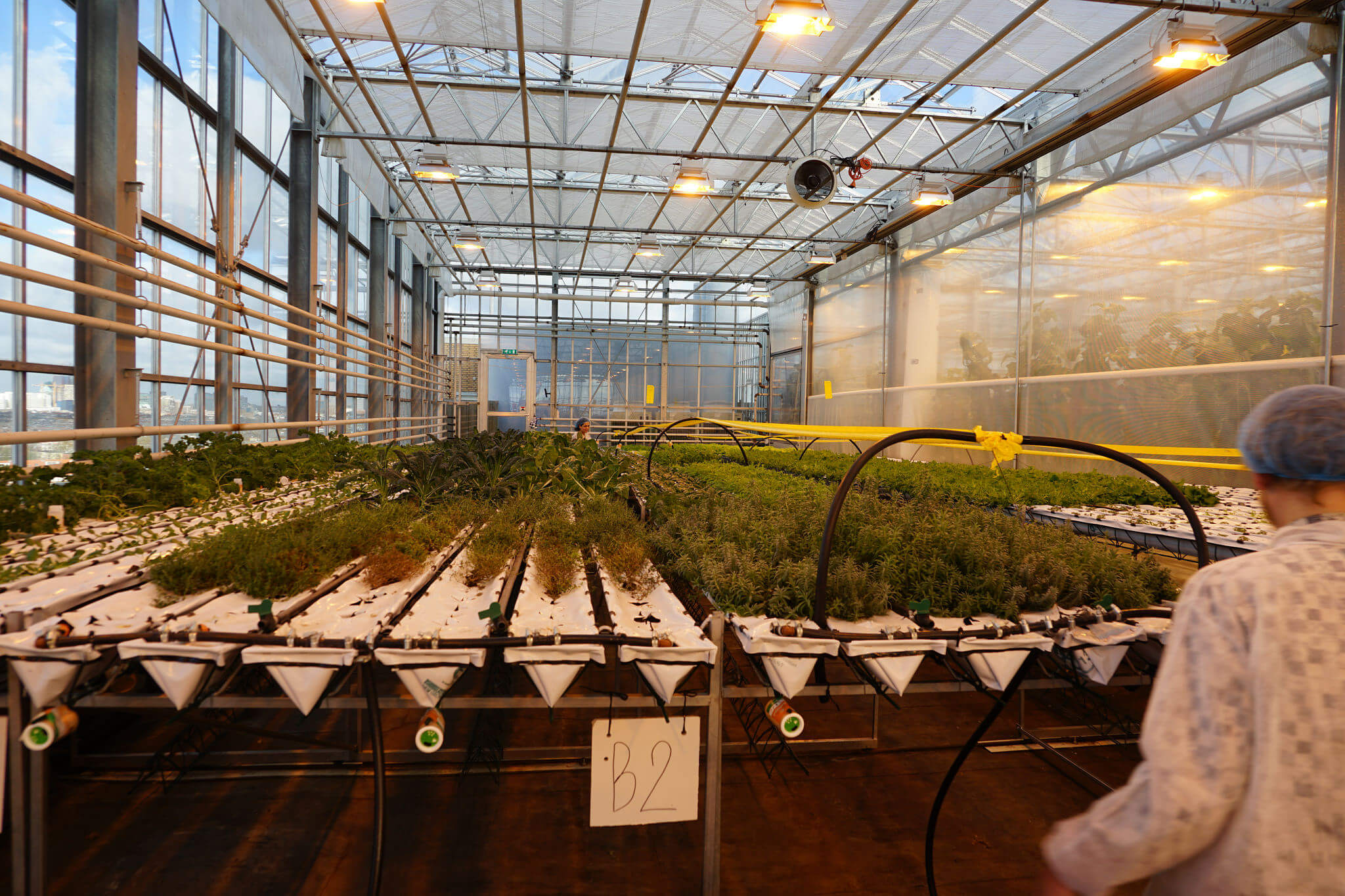 Telhado Shingle: Beleza e Durabilidade em sua Casa, image size:2048x1365