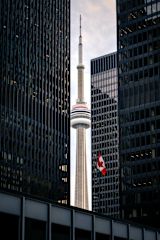 View of the Toronto Tower, Ontario between buildings