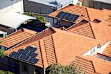 homeowners-solar-panels-sell-energy-stabilise-grid_asset_7461522300_5ab4d8affb_k