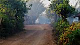 senior-citizens-taught-business-skills-beat-rural-poverty_asset_14136580147_ce1e2d99db_c