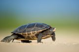 crawl-personal-goals_asset_photo-1470165385455-e981fe780611
