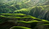 Decorative image of green hills