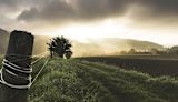 mapped-rural-suicide-is-soaring-in-the-us-and-government-cant-keep-up_asset_ruralmentaltiny