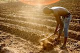 agribusiness-plus-parenting-classes-cuts-child-maltreatment-in-tanzania_asset_10665294293_22d8823252_k-1