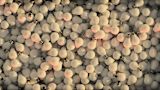 how-to-scale-up-social-impact_asset_bright-bulbs-crowded-383838-1