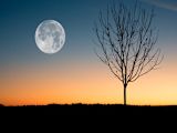 moonshot-thinking-government_asset_backlit-beautiful-dawn-884788-1