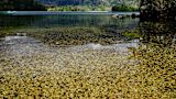 asian-countries-businesses-ngos-team-better-water_asset_14375766681_25718aa5cc_k