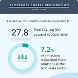 38. Temperate Forest Restoration
