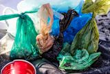 Plastic bags — Brian Yurasits