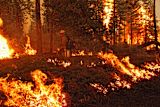 california-start-wants-fight-fire-impact-bond_asset_9693430155_8299afb4d8_k