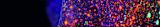 GAIC logged-out course image
