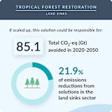 39. Tropical Forest Restoration