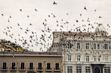 in-quito-behavioural-insights-made-participatory-budgeting-get-social_asset_wantto-create-rvqhqpgfrgs-unsplash-1