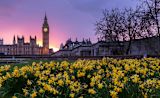 Decorative image of Westminster for article