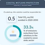 9. Coastal Wetland Protection