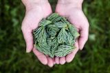 6-tips-to-make-climate-communication-less-awful_asset_rsz_jean-lakosnyk-n9yfjkdc0va-unsplash