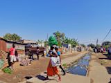for-mozambique-promoting-biodiversity-includes-gender-equality_asset_farah-nabil-aodat7yysve-unsplash-1