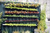 vertical-farming-reaches-sky-urban-new-jersey_asset_2984552937_c88b423882_b