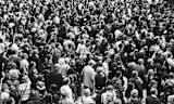 crowd