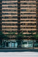 in-it-together-the-power-of-a-professional-development-network_asset_krzysztof-kotkowicz-vuhhleilwt0-unsplash-1