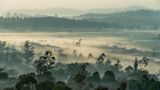 Decorative image of Cameroon for article