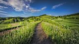 which-rural-region-should-you-govern_asset_countryside-1868781_1920