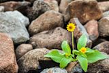 How to be a resilient public servant_banner