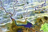 Decorative image of network of rivers from a bird's eye view for article