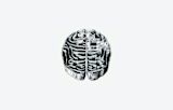 Money brain