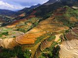 smartphone-insights-vietnam_asset_doan-tuan-whrmcr_1mjk-unsplash-1