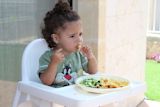 why-sending-letters-to-parents-doesnt-help-tackle-childhood-obesity_asset_child-1566470_1920-1